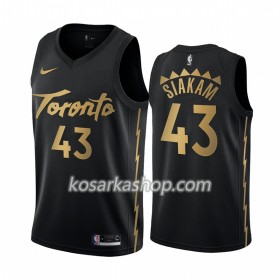 Dres Toronto Raptors Pascal Siakam 43 Nike 2019-20 City Edition Swingman
